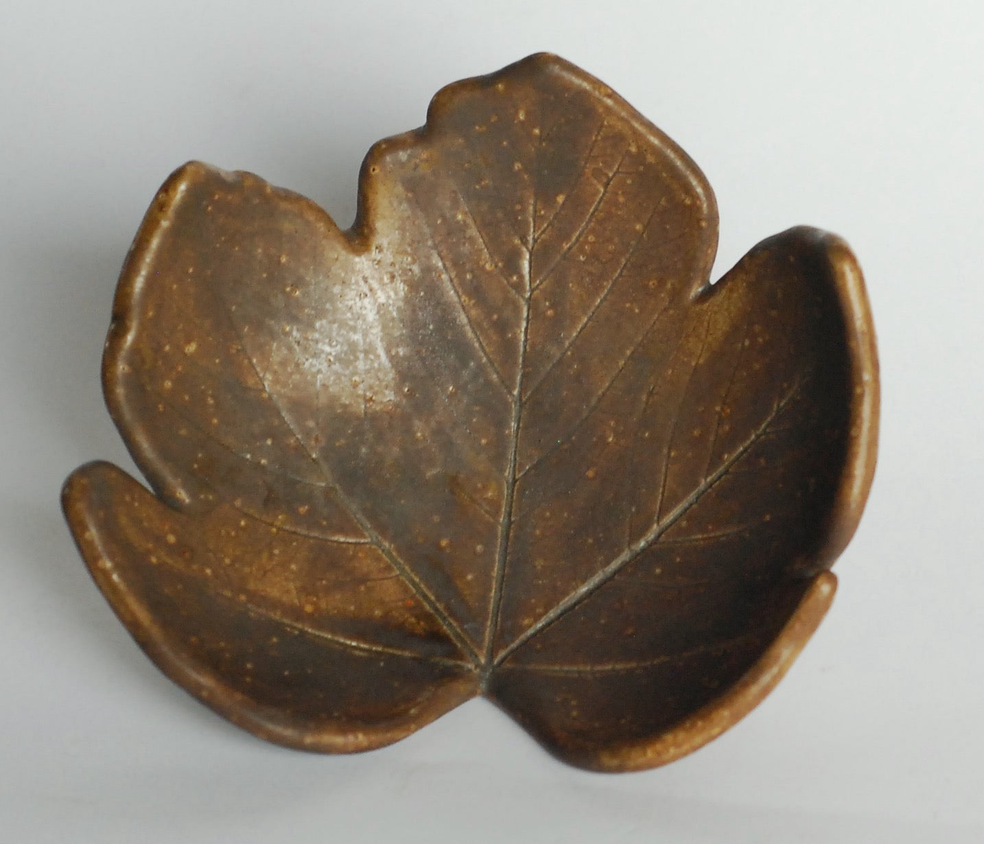 Patera brązowy liść