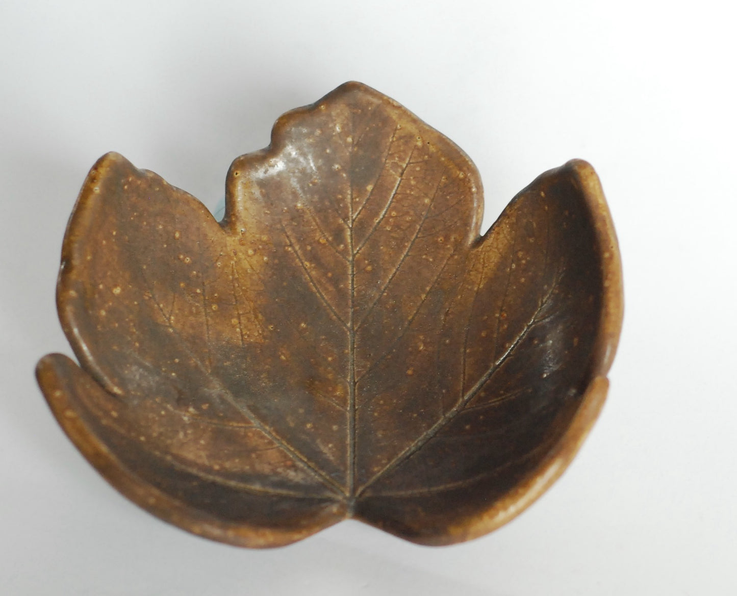 Patera brązowy liść