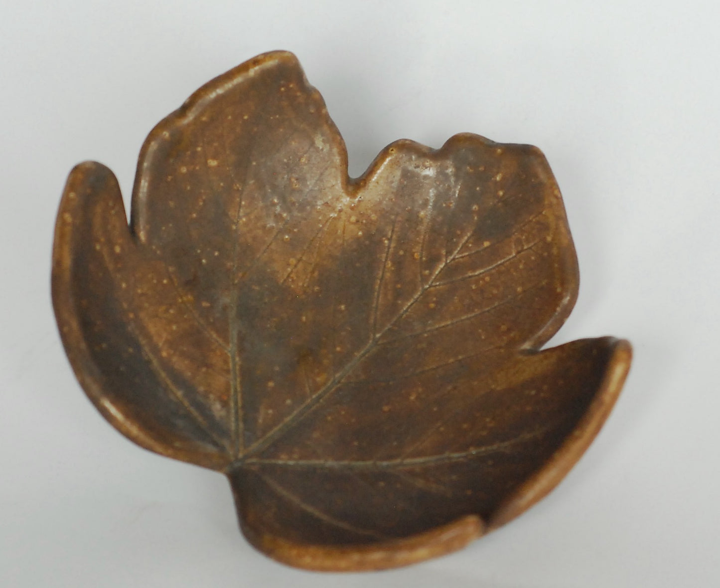 Patera brązowy liść