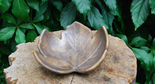 Patera brązowy liść