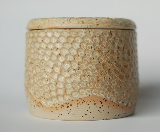 Maselniczka rustykalna